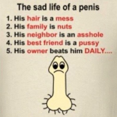 35-the-sad-life-of-a-penis