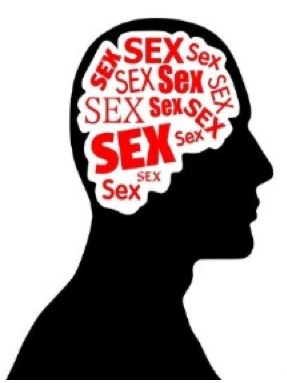 sex-on-the-brain