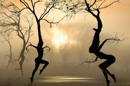 Dancing-Trees_art